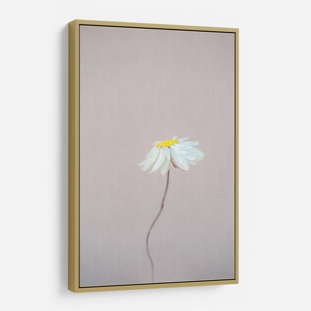 Fragile 1 Wall Art Fragile 1 Wall Art