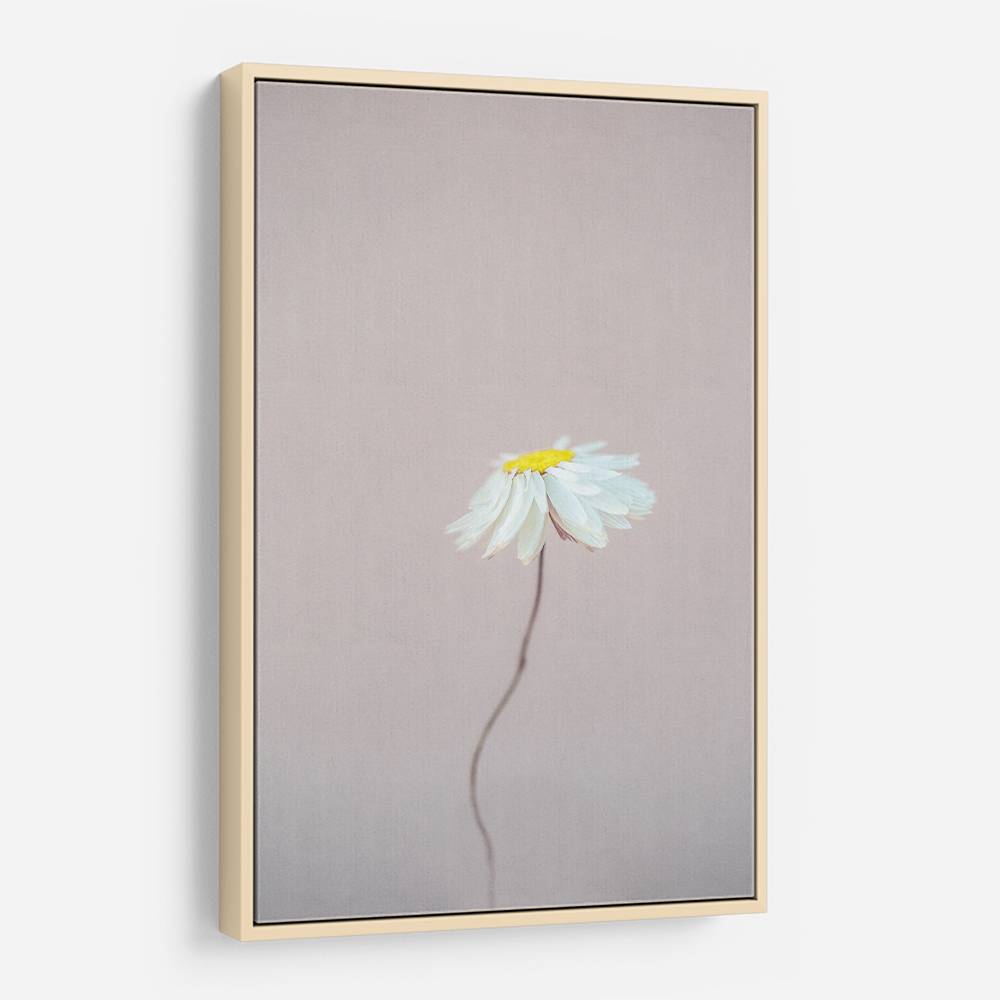 Fragile 1 Wall Art Fragile 1 Wall Art