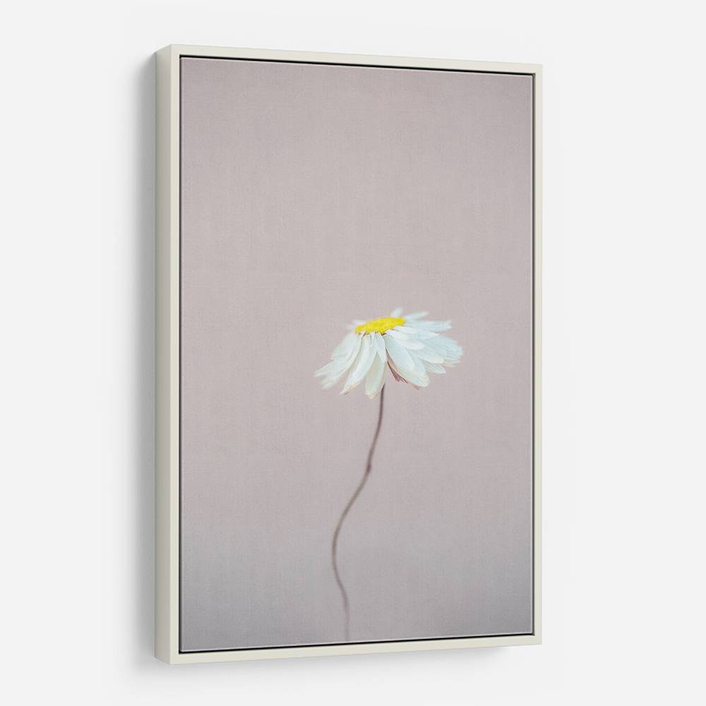 Fragile 1 Wall Art Fragile 1 Wall Art