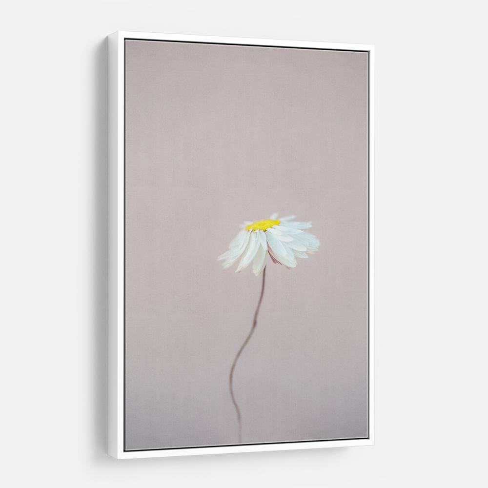 Fragile 1 Wall Art Fragile 1 Wall Art