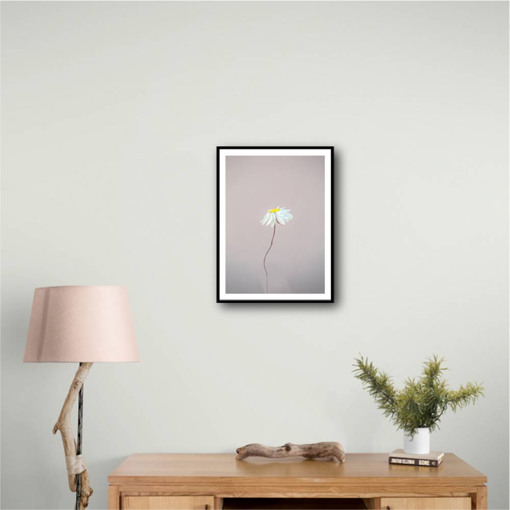 Fragile 1 Wall Art Fragile 1 Wall Art