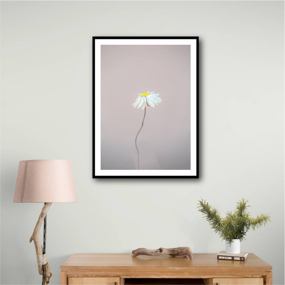 Fragile 1 Wall Art Fragile 1 Wall Art