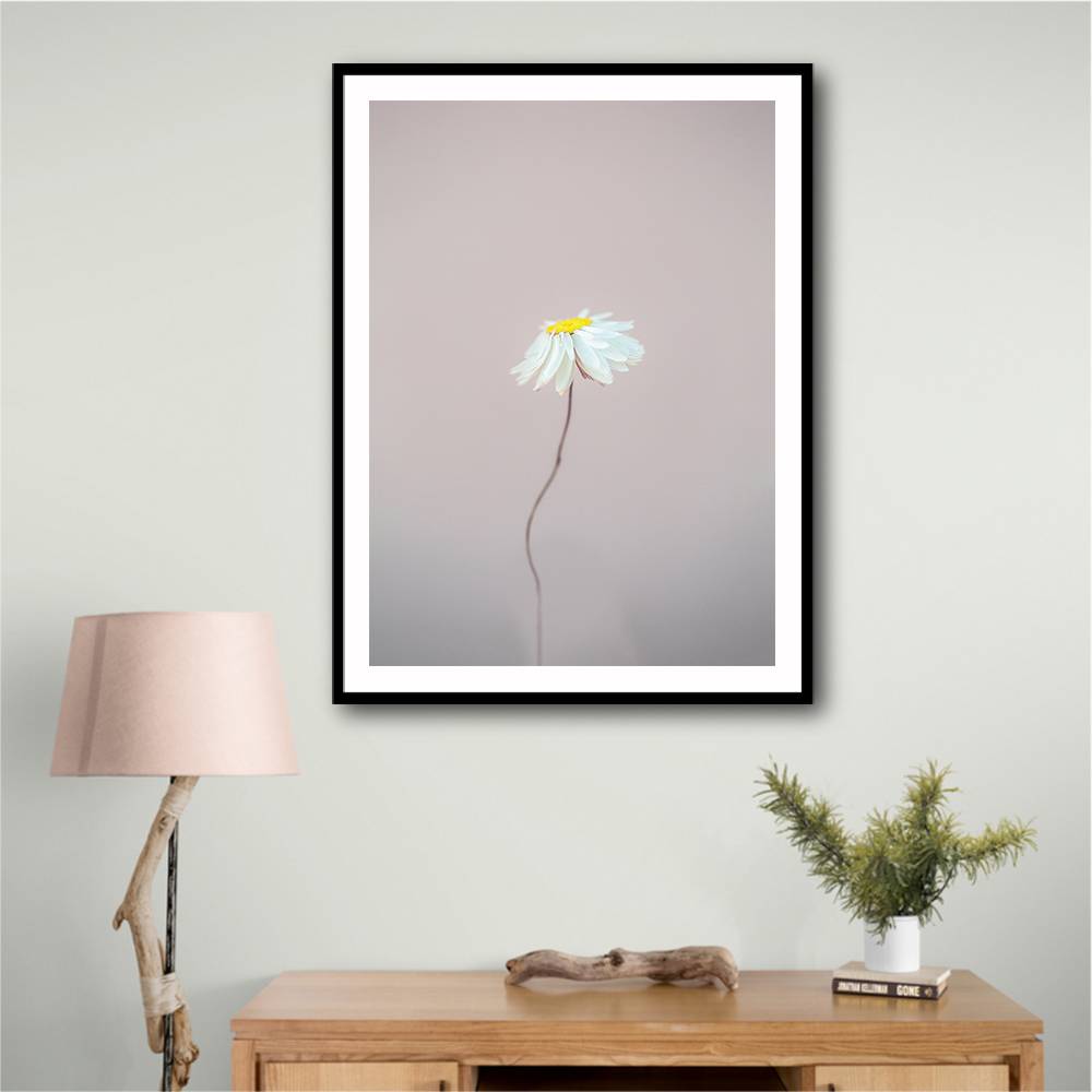 Fragile 1 Wall Art Fragile 1 Wall Art