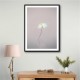 Fragile 1 Wall Art Fragile 1 Wall Art