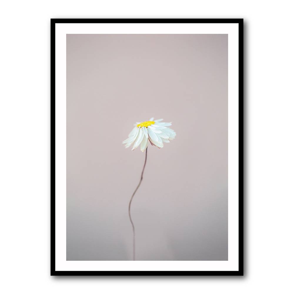 Fragile 1 Wall Art Fragile 1 Wall Art