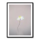 Fragile 1 Wall Art Fragile 1 Wall Art