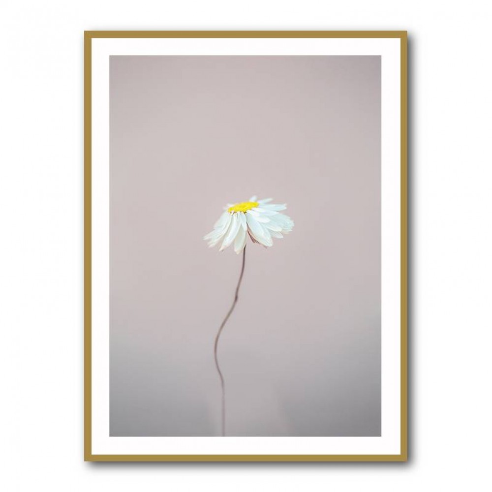Fragile 1 Wall Art Fragile 1 Wall Art