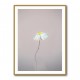 Fragile 1 Wall Art Fragile 1 Wall Art