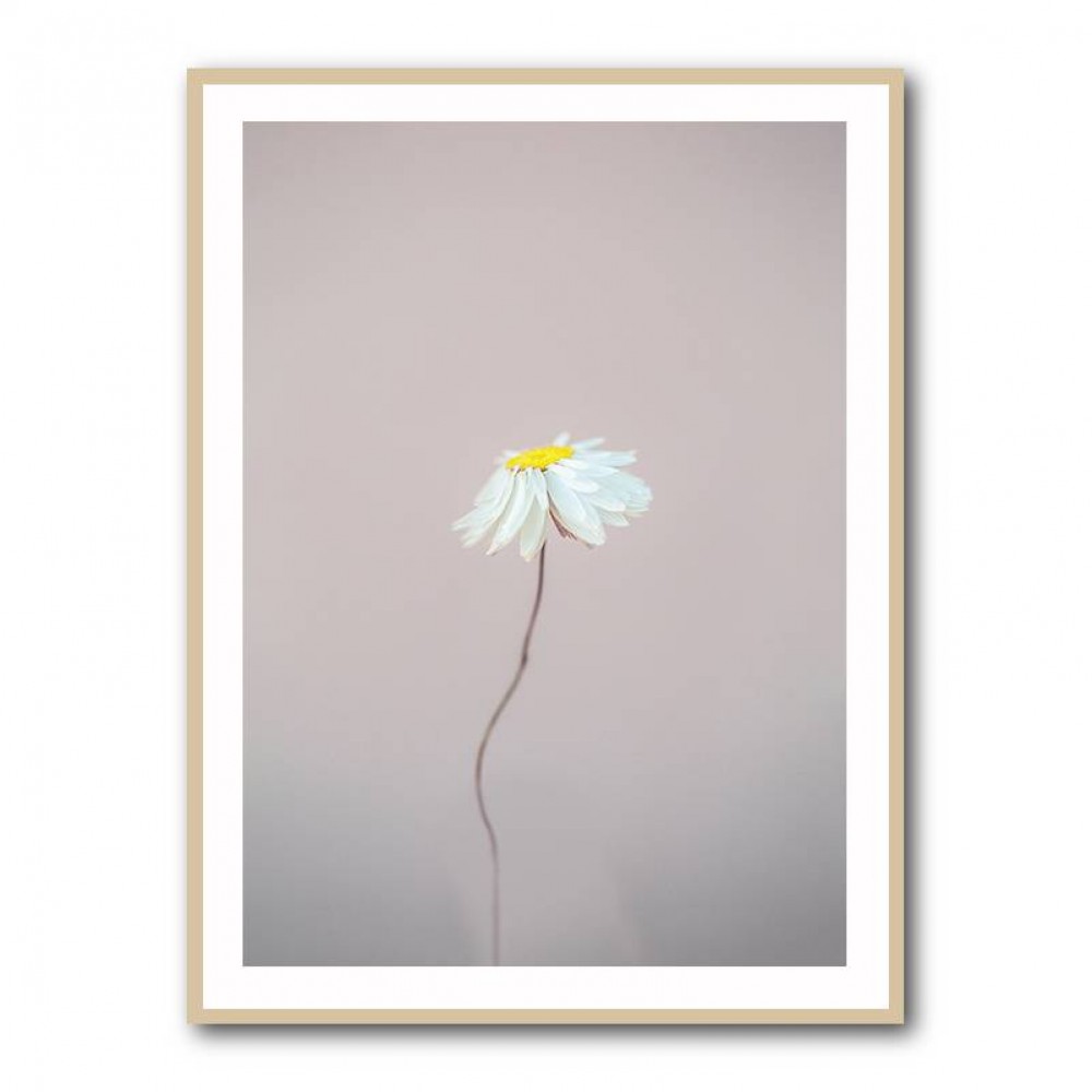 Fragile 1 Wall Art Fragile 1 Wall Art