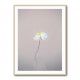 Fragile 1 Wall Art Fragile 1 Wall Art