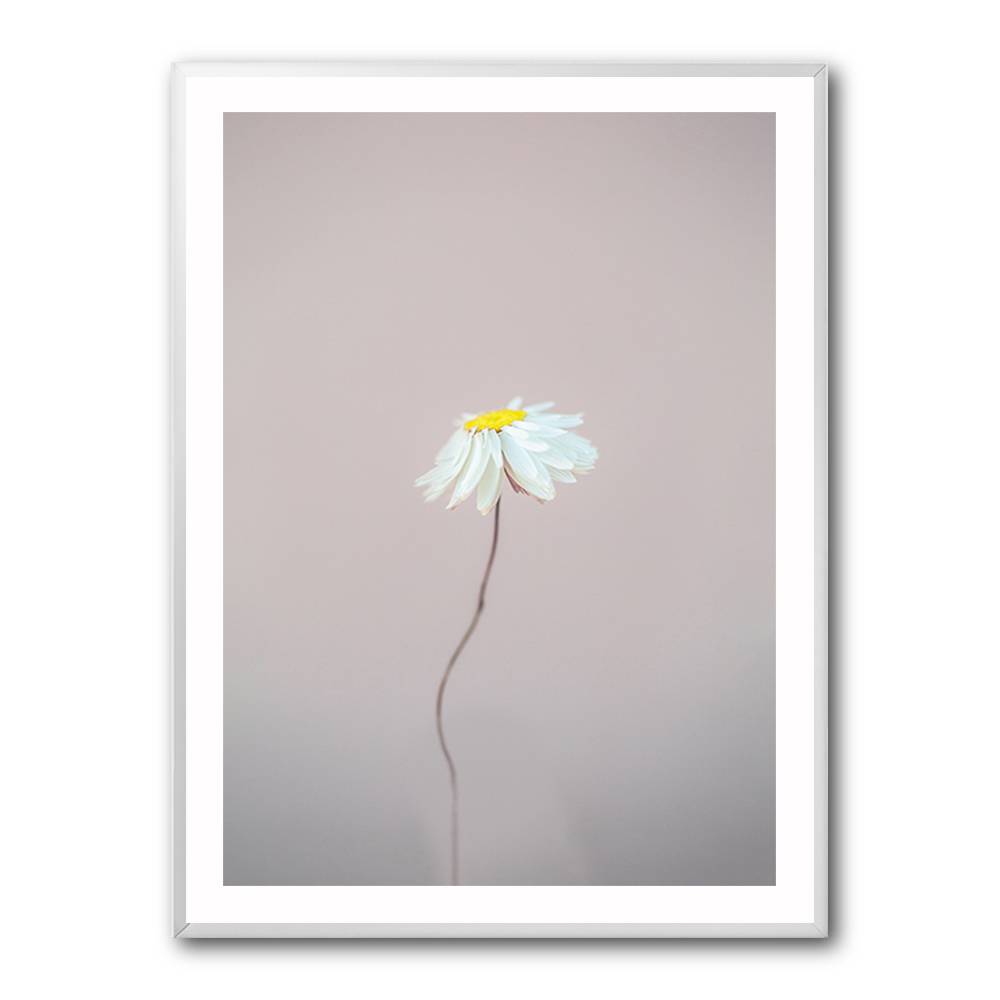 Fragile 1 Wall Art Fragile 1 Wall Art