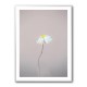 Fragile 1 Wall Art Fragile 1 Wall Art