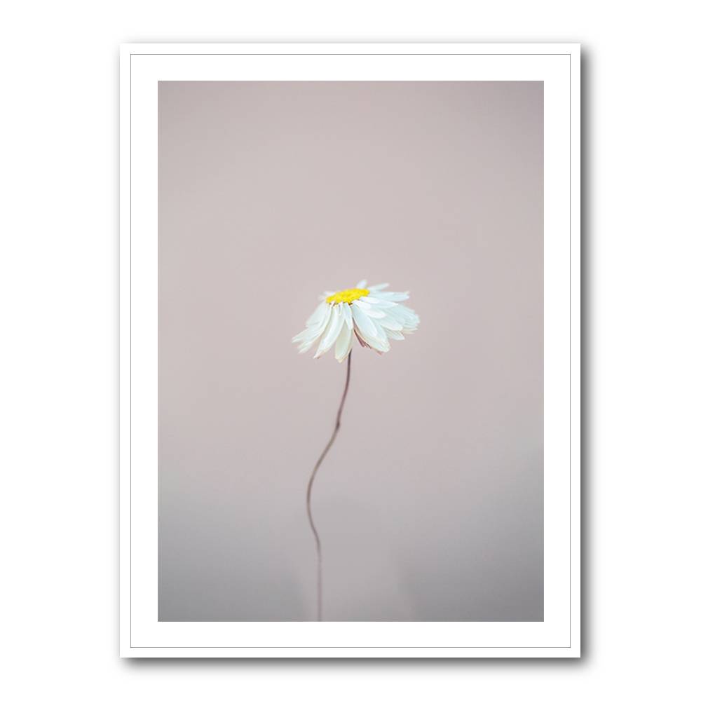 Fragile 1 Wall Art Fragile 1 Wall Art