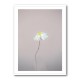 Fragile 1 Wall Art Fragile 1 Wall Art