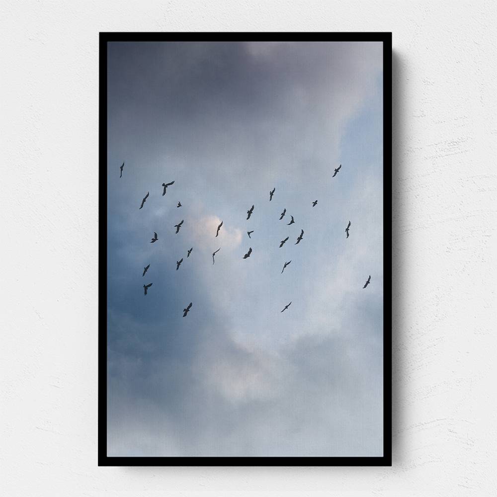 Free As A Bird Wall Art Free As A Bird Wall Art