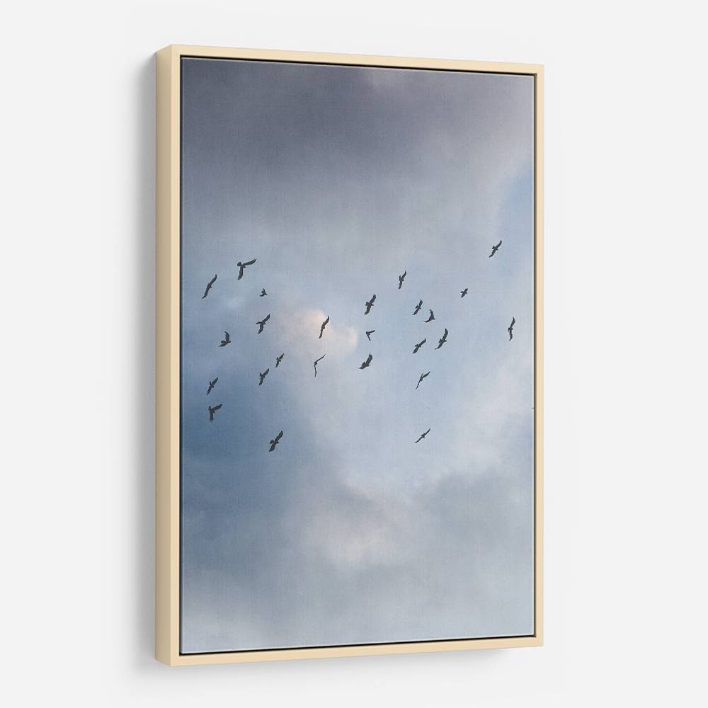 Free As A Bird Wall Art Free As A Bird Wall Art
