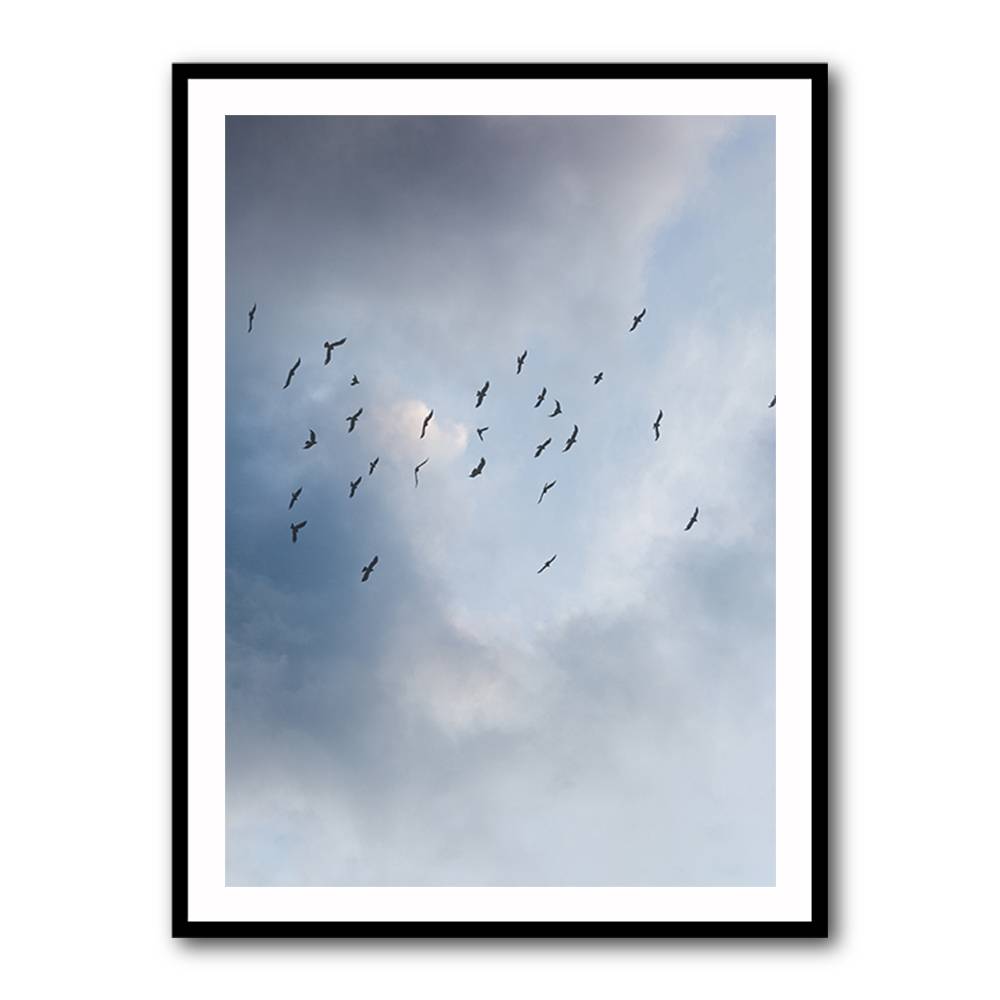 Free As A Bird Wall Art Free As A Bird Wall Art
