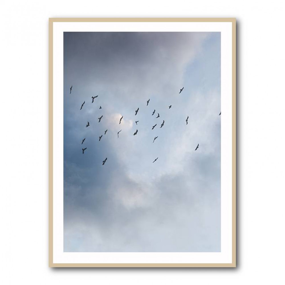 Free As A Bird Wall Art Free As A Bird Wall Art