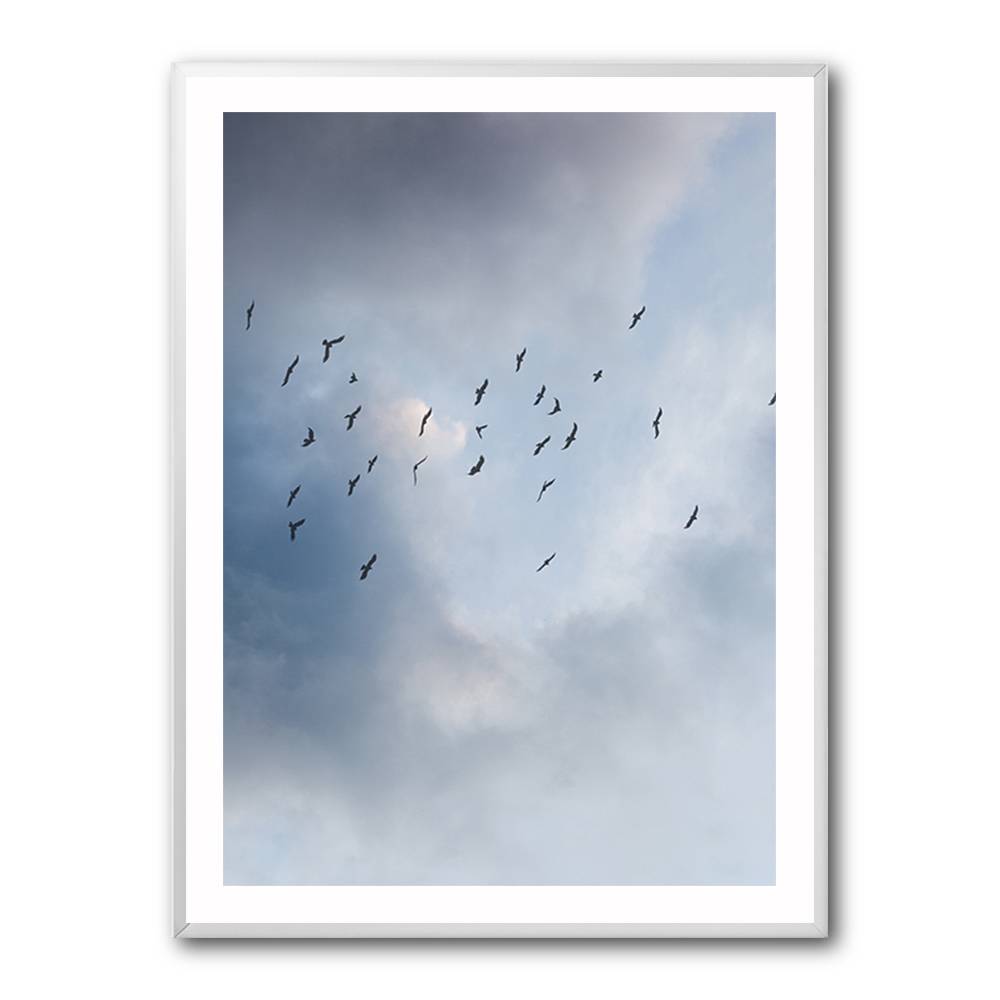 Free As A Bird Wall Art Free As A Bird Wall Art