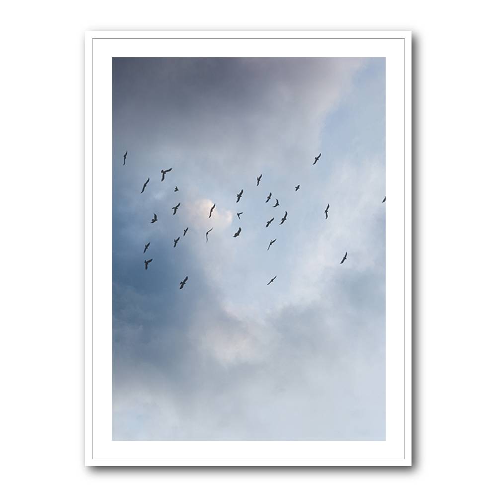 Free As A Bird Wall Art Free As A Bird Wall Art