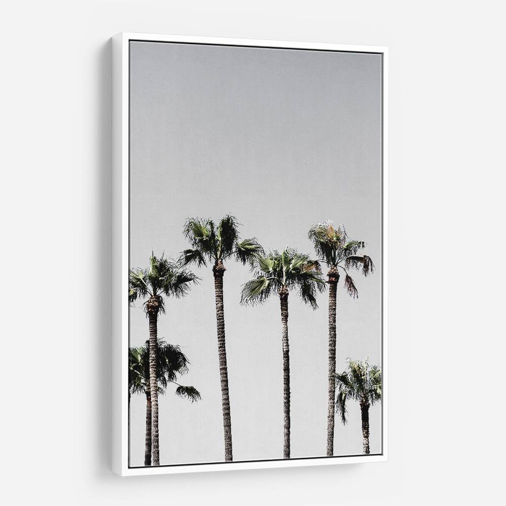 Palm Trees 5 Wall Art Palm Trees 5 Wall Art