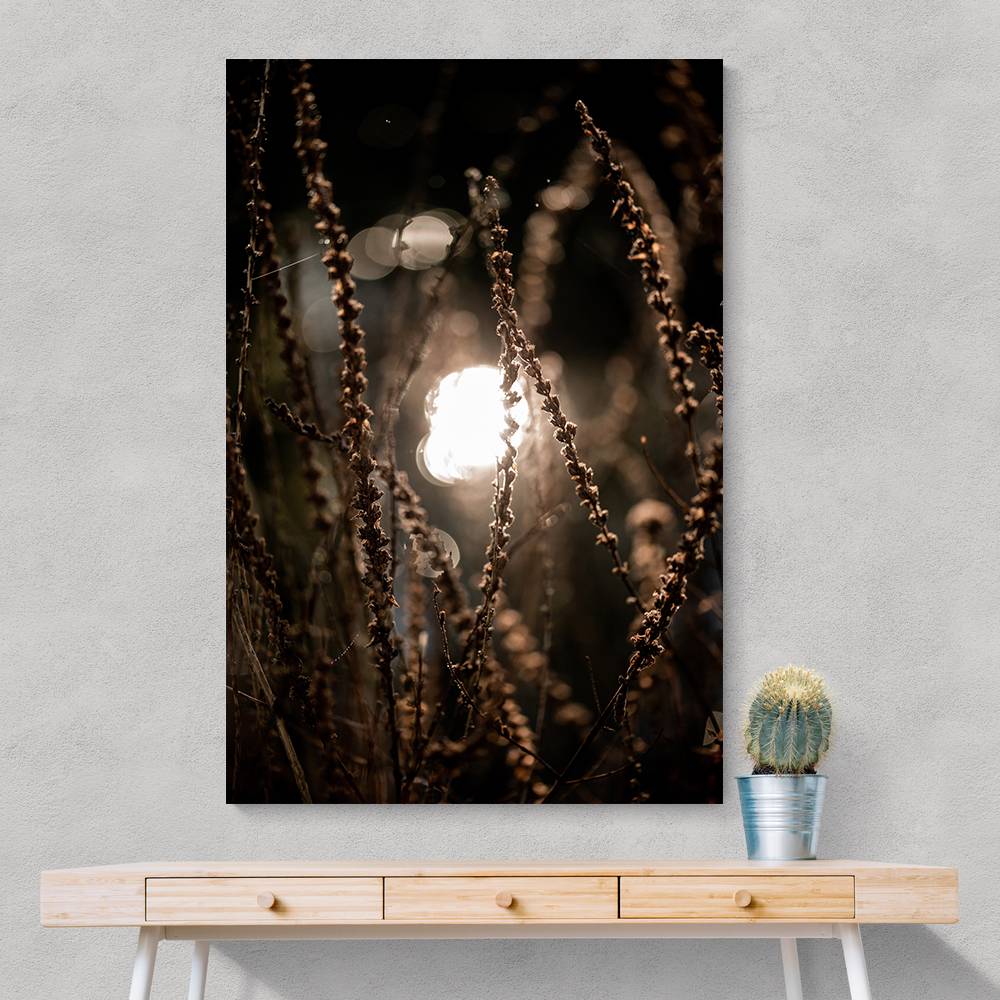 Autumn Lights 2 Wall Art Autumn Lights 2 Wall Art