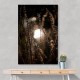 Autumn Lights 2 Wall Art Autumn Lights 2 Wall Art