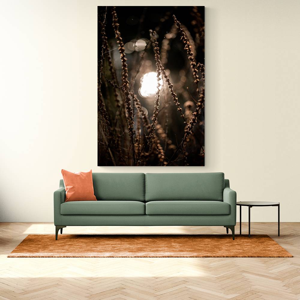 Autumn Lights 2 Wall Art Autumn Lights 2 Wall Art