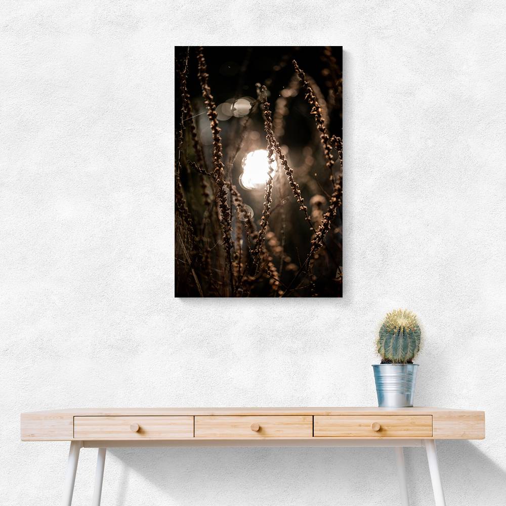 Autumn Lights 2 Wall Art Autumn Lights 2 Wall Art