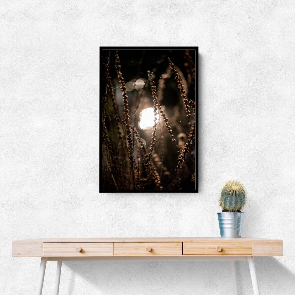 Autumn Lights 2 Wall Art Autumn Lights 2 Wall Art