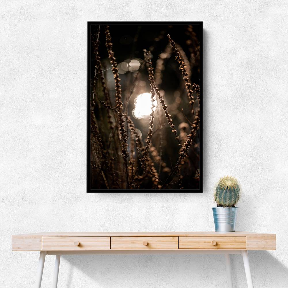 Autumn Lights 2 Wall Art Autumn Lights 2 Wall Art
