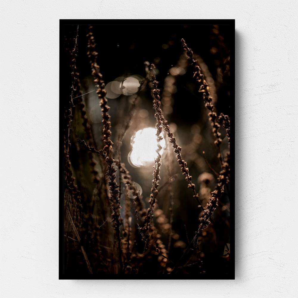 Autumn Lights 2 Wall Art Autumn Lights 2 Wall Art