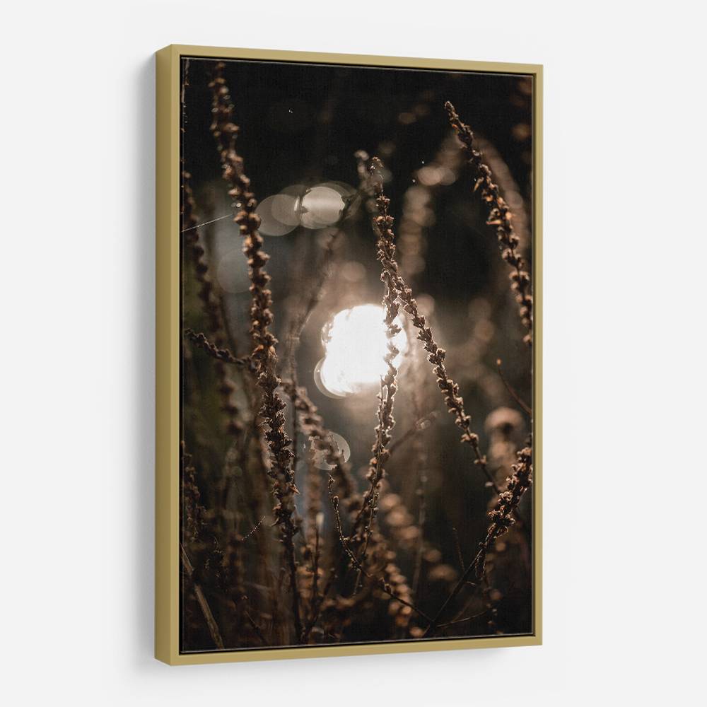 Autumn Lights 2 Wall Art Autumn Lights 2 Wall Art