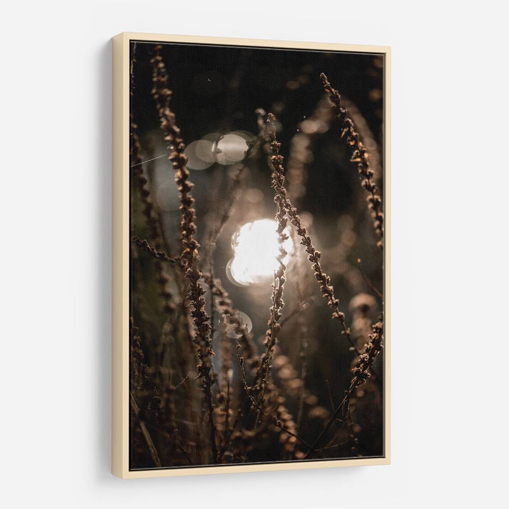 Autumn Lights 2 Wall Art Autumn Lights 2 Wall Art