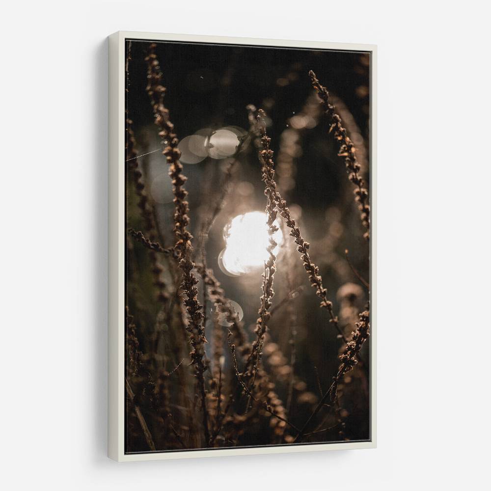 Autumn Lights 2 Wall Art Autumn Lights 2 Wall Art