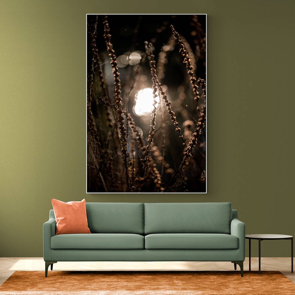 Autumn Lights 2 Wall Art Autumn Lights 2 Wall Art