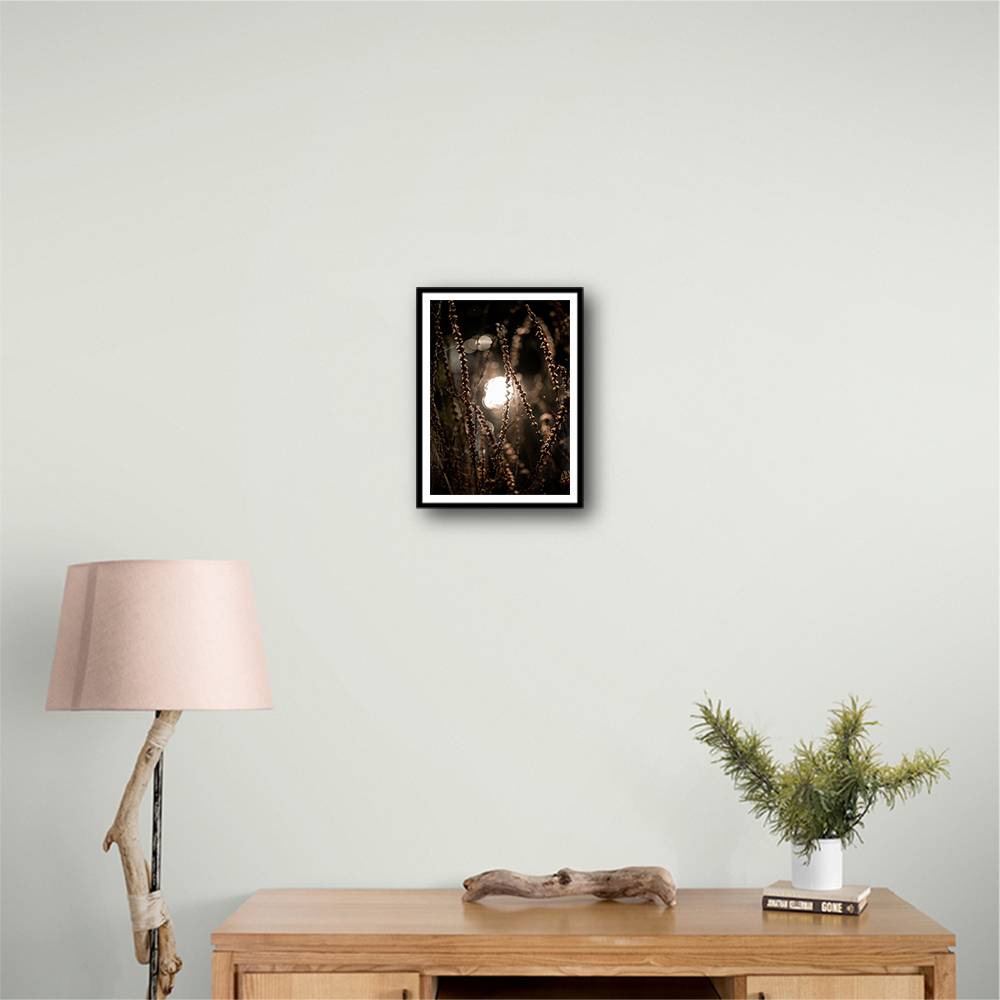 Autumn Lights 2 Wall Art Autumn Lights 2 Wall Art