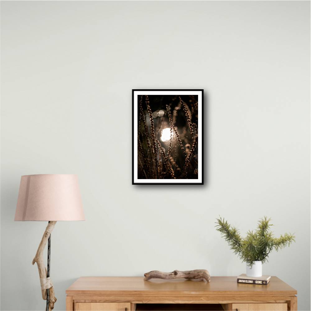 Autumn Lights 2 Wall Art Autumn Lights 2 Wall Art
