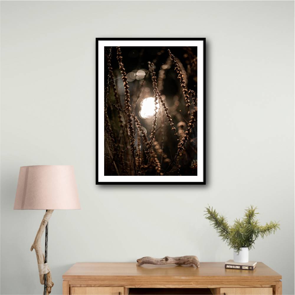 Autumn Lights 2 Wall Art Autumn Lights 2 Wall Art