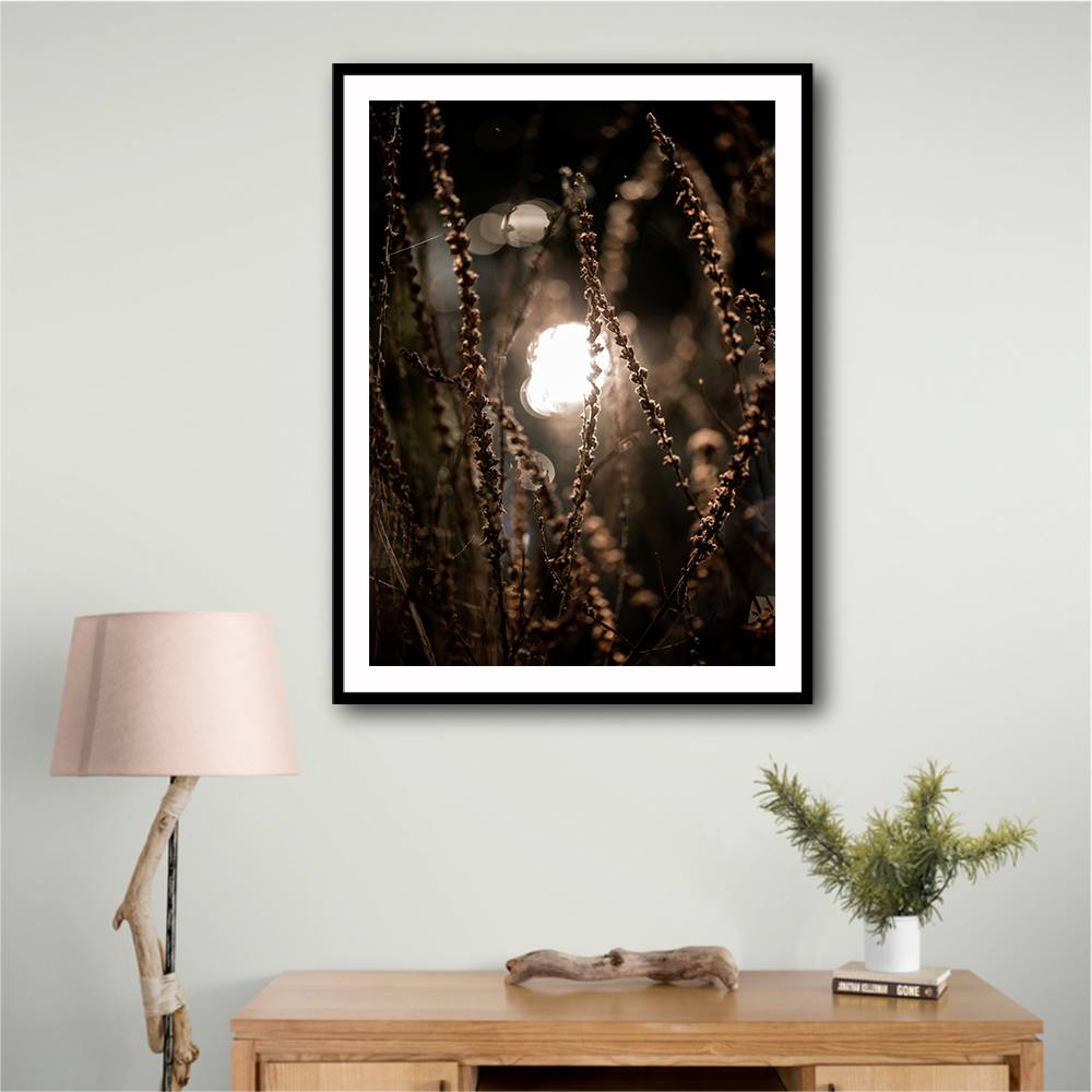 Autumn Lights 2 Wall Art Autumn Lights 2 Wall Art
