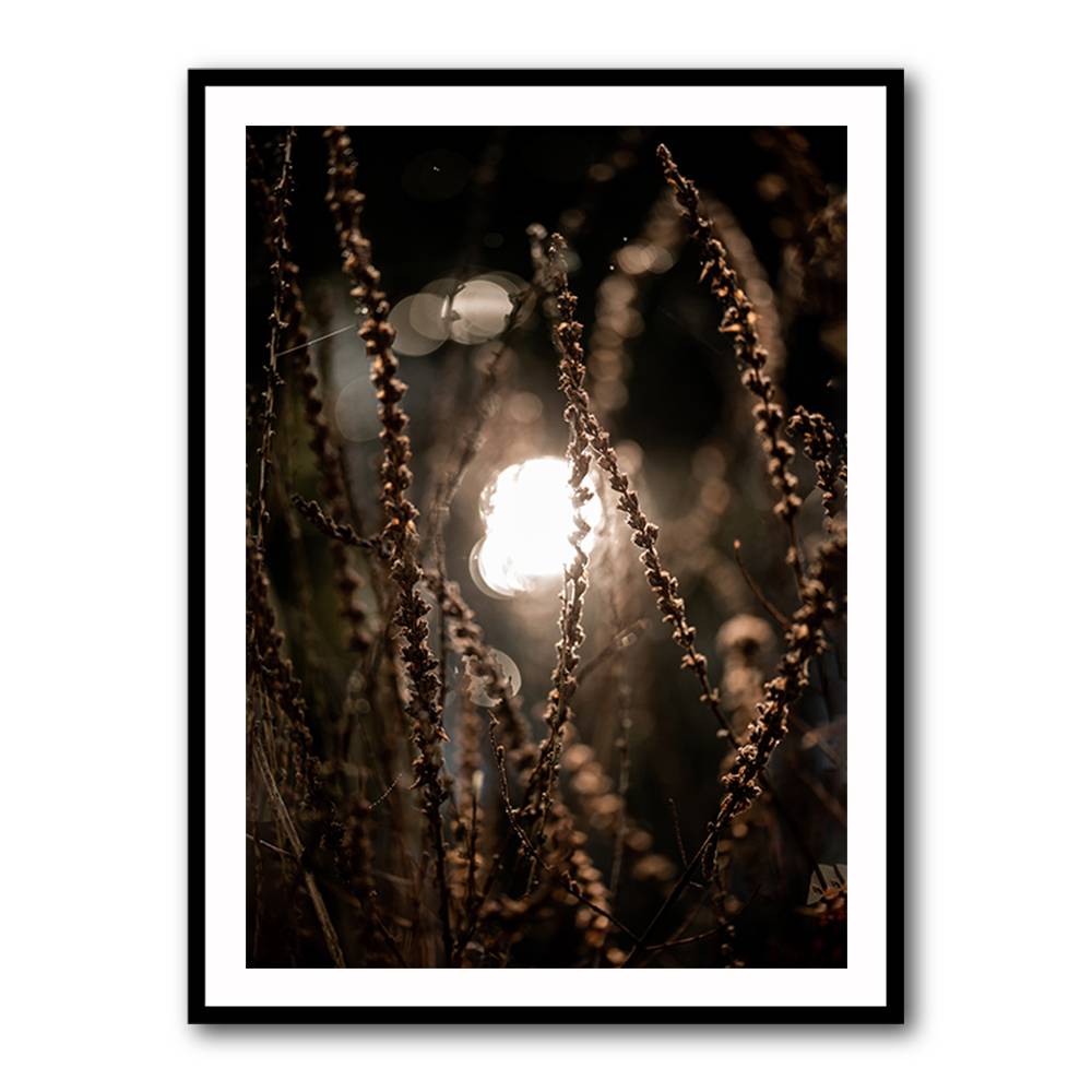 Autumn Lights 2 Wall Art Autumn Lights 2 Wall Art
