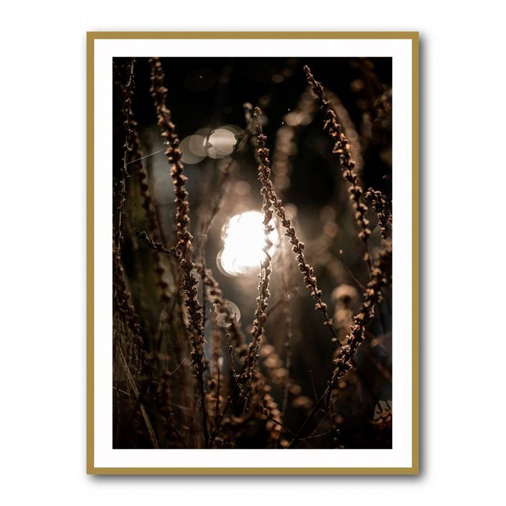 Autumn Lights 2 Wall Art Autumn Lights 2 Wall Art