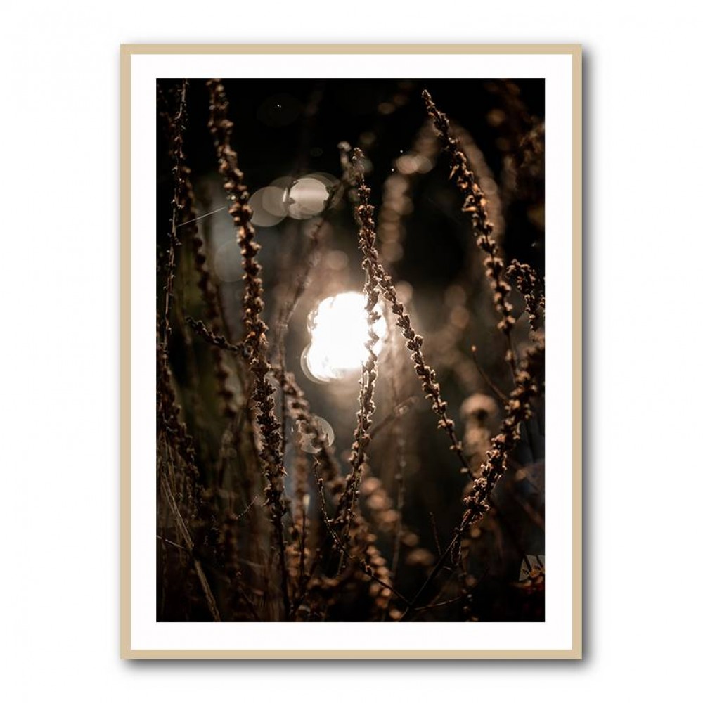 Autumn Lights 2 Wall Art Autumn Lights 2 Wall Art