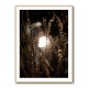 Autumn Lights 2 Wall Art Autumn Lights 2 Wall Art
