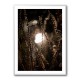Autumn Lights 2 Wall Art Autumn Lights 2 Wall Art