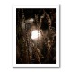 Autumn Lights 2 Wall Art Autumn Lights 2 Wall Art