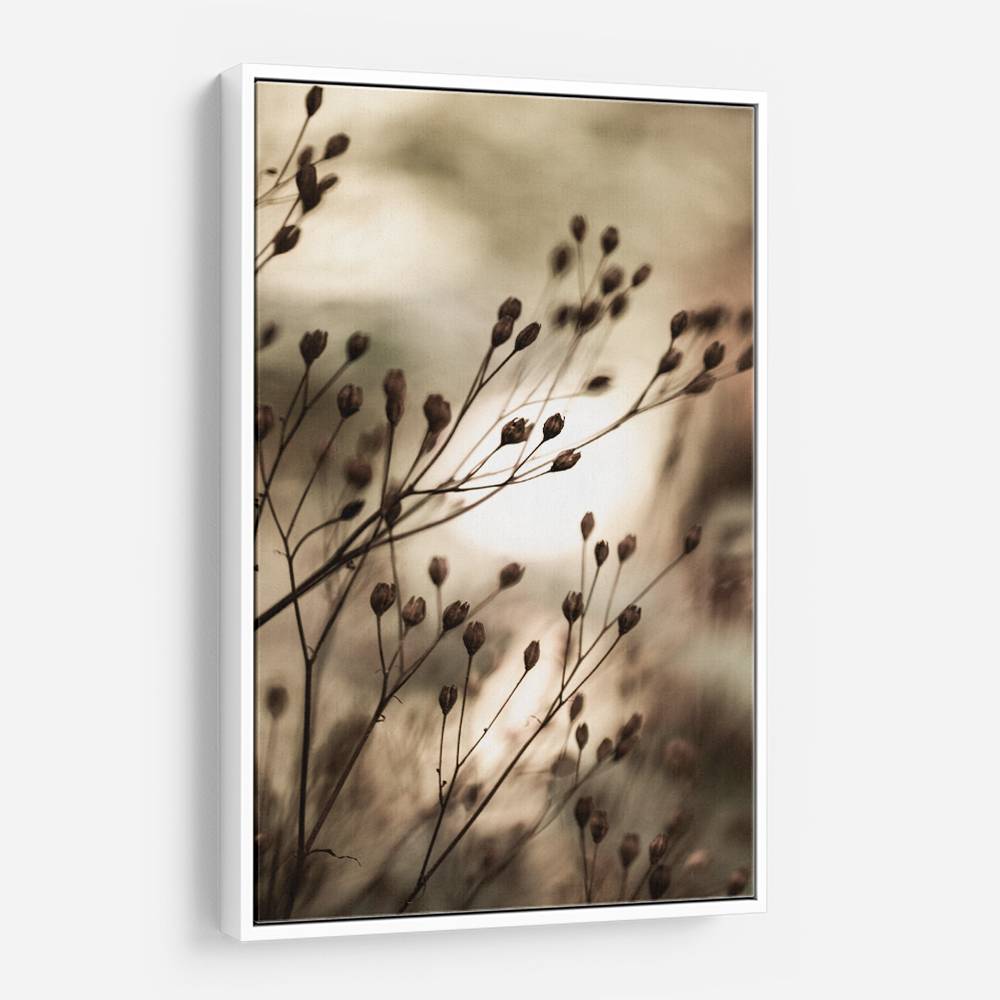 Autumn Lights Wall Art Autumn Lights Wall Art