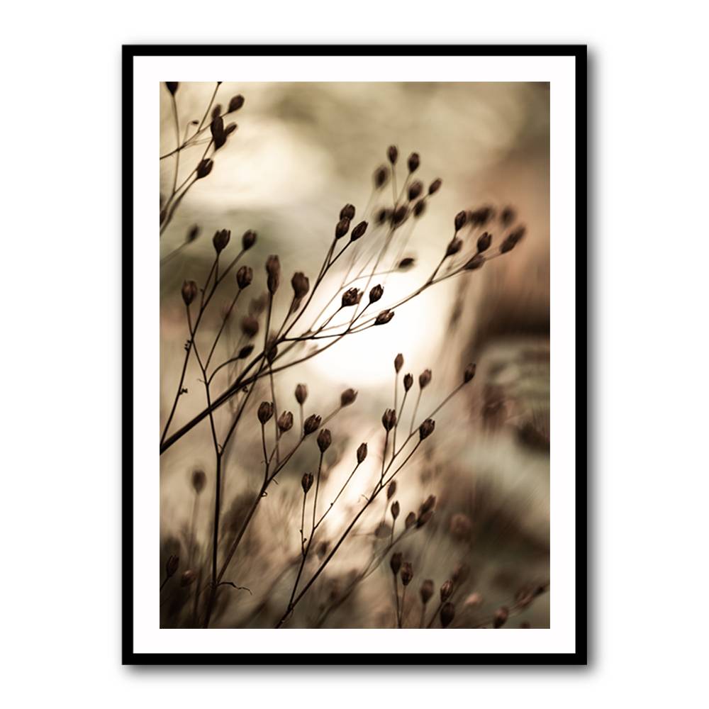 Autumn Lights Wall Art Autumn Lights Wall Art