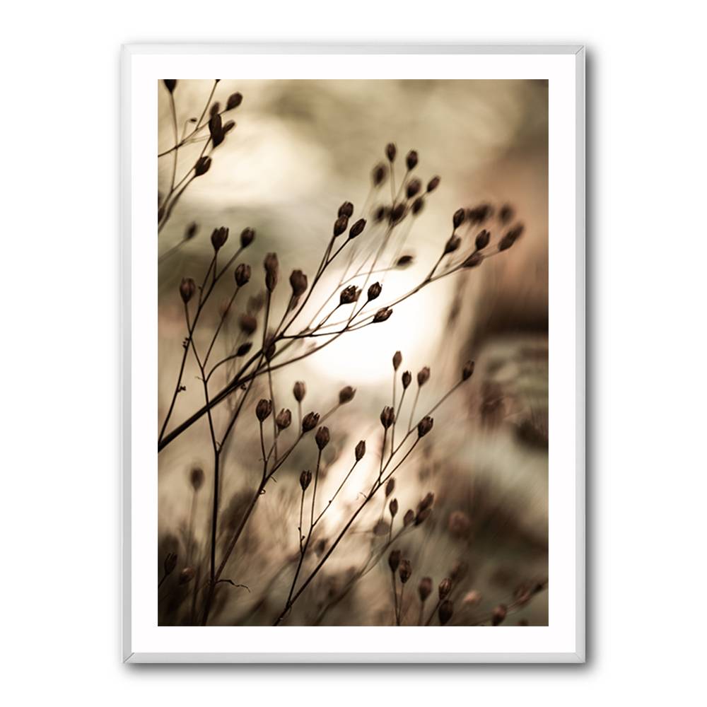 Autumn Lights Wall Art Autumn Lights Wall Art