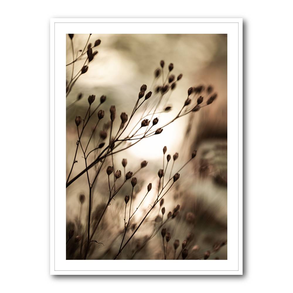 Autumn Lights Wall Art Autumn Lights Wall Art